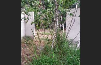 Imagem 7: Loteamento para Venda em Porto Seguro, Arraial D Ajuda