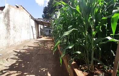 Imagem: O terreno possui 390m² de Área e está localizado em Dom