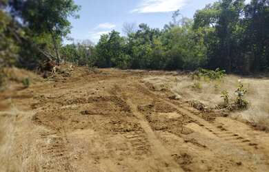 Imagem 5: Faz 115 Alq planta 310 Hec 2 Taiao lavouras ao lado