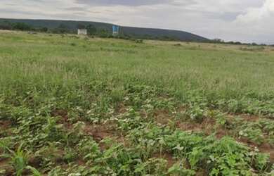 Imagem: A fazenda possui 2.117.500m² de Área e está localizado em