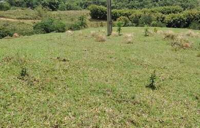 Imagem 9: Lote/Terreno para venda tem 600 metros quadrados em Jardim Fazenda Rincão...