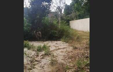 Imagem 9: Loteamento para Venda em Porto Seguro, Arraial D Ajuda