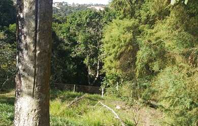 Imagem 9: Lote/Terreno para venda tem 9132 metros quadrados em Maracanã - Jarinu...