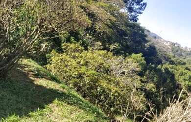 Imagem 10: Lote/Terreno para venda tem 9132 metros quadrados em Maracanã - Jarinu...