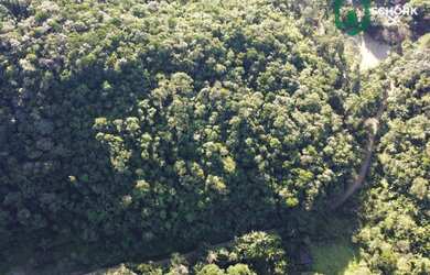 Imagem 10: Sítio à venda, 30142 m² por R$ 190.000,00 - Patrimônio - Massaranduba/SC