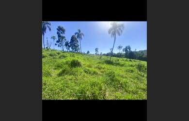 Imagem 7: lotes para investir. 