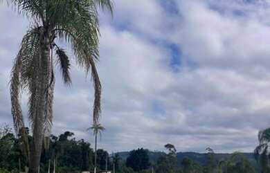 Imagem 6: Novos imóveis e terrenos de 1.000 metros quadrados na região de Mairiporã