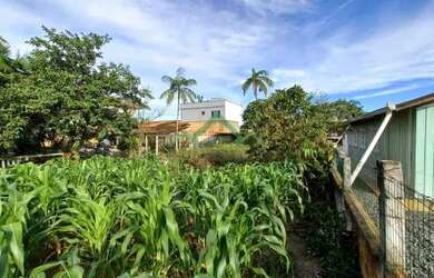 Imagem 5: Terreno à venda em Balneário Barra do Sul - Costeira
