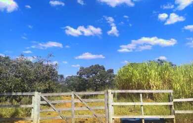 Imagem 4: Terreno Plano em Jaboticatubas