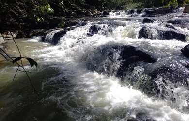 Imagem 10: Fazenda Minas Gerais Buritis