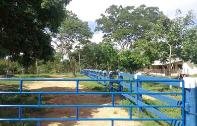 Imagem 12: Fazenda Minas Gerais Buritis