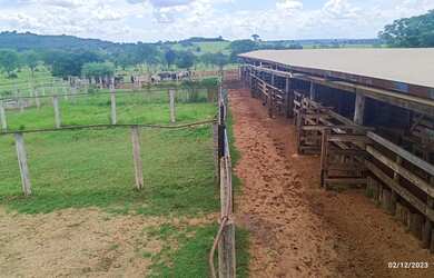 Imagem: A fazenda está localizado em Uberlândia, MG à venda por R$76.000.000