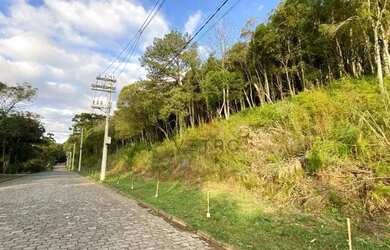 Imagem 3: Terreno à Venda em Canela