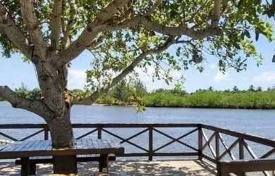 Imagem 15: Casa com 3 dormitórios à venda, 170 m² por R$ 1.200.000,00 - Barra...