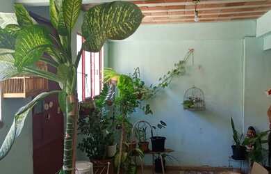 Imagem 11: Apartamento para venda com 2 quartos em Vila Lage