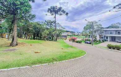 Imagem 8: TERRENO ESQUINA À VENDA ALTOS PINHEIROS/ CANELA