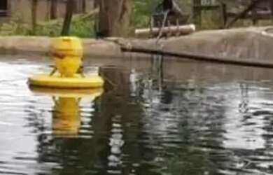 Imagem 13: A M IMOVEIS VENDE EXELENTE FAZENDA COM 180HECTARES EM PARACATU MG