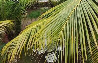 Imagem 16: Linda casa 2/4, suíte, armários cond.fechado