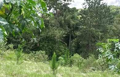 Imagem 4: 2 terrenos um ao lado do outro - 1600 metros quadrados em Lageadinho - Ibiúna - SP