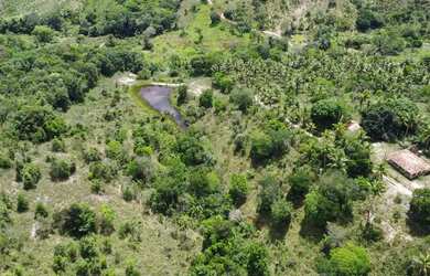 Imagem 12: Fazenda Mista em Conde -BA