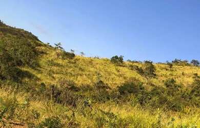 Imagem 1: Arrendo Fazenda de 18 alqueires próxima ao asfalto