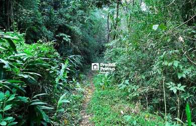 Imagem 11: Terreno à venda, 17000 m² por R$ 800.000,00 - Cascatinha - Nova Friburgo/RJ