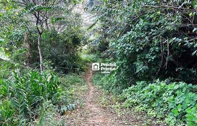 Imagem 7: Terreno à venda, 17000 m² por R$ 800.000,00 - Cascatinha - Nova Friburgo/RJ