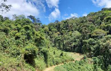 Imagem: A fazenda possui 30000m² de Área e está localizado em Paraju