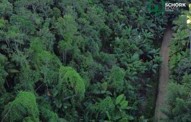 Imagem 15: Sítio à venda, 30142 m² por R$ 190.000,00 - Patrimônio - Massaranduba/SC