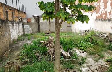 Imagem 1: TERRENO LOCALIZADO HÁ 50 METROS DA AV. WASHINGTON LUIS