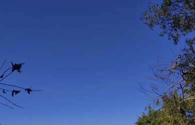 Imagem 6: Lote/Terreno para venda tem 9132 metros quadrados em Maracanã - Jarinu...