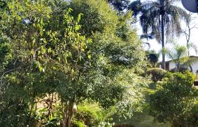 Imagem 7: Lote/Terreno para venda tem 9132 metros quadrados em Maracanã - Jarinu...