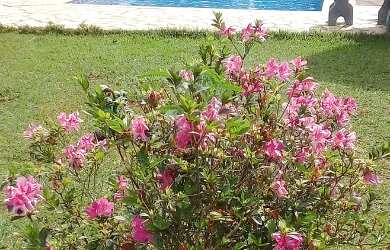 Imagem: A casa possui 4 Dormitórios, 5 Vagas na garagem e está localizado