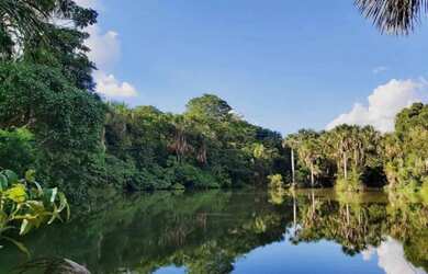 Imagem: A chácara possui 1.200m² de Área e está localizado em Goianira