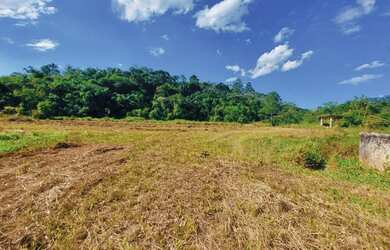 Imagem 16: Lote/Terreno para venda possui 600 metros quadrados em Jardim Paineiras...