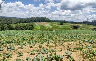 Imagem 2: quot o/26 Promoção só em Cotia-SP Terrenos 35.000 mil Agende sua visita