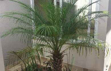 Imagem 14: JUNDIAÍ - Casa Padrão - MIRANTE DA COLONIA