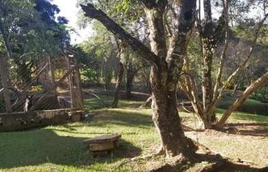 Imagem 12: Lote/Terreno para venda tem 9132 metros quadrados em Maracanã - Jarinu...