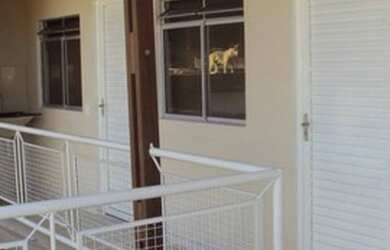 Imagem: A kitnet possui 1 Dormitório, 1 Banheiro e está localizado