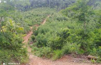 Imagem 6: *Vendo Sitio urgente em Timbui