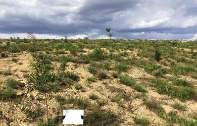 Imagem: O terreno possui 500m² de Área, Vista para o lago e está