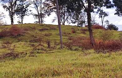 Imagem: A chácara está localizado em Anicuns, GO à venda por