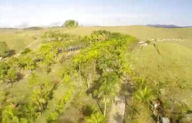 Imagem 10: Belíssima Fazenda 60 Alqueires à venda por R$ 17.000.000,00, Tratorável...