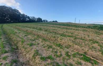 Imagem 3: Lote/Terreno para venda com 1000 metros quadrados em Parque São Luís - São Paulo - SP
