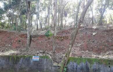 Imagem 4: TERRENO PLANO. 2.353m² de Área
