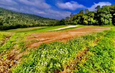 Imagem 2: Lote/Terreno para venda com 1000 metros quadrados em Parque São Luís - São Paulo - SP