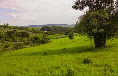Imagem 13: Terreno à venda com 61.000 metros apenas 6km do Shopping de Bragança...