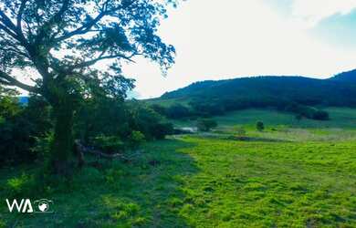 Imagem 6: Vendo Excelente Fazenda de 1.033 hectares na Região de Curvelo MG