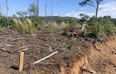 Imagem 9: Terreno para plantação. Piscina, Churrasqueirae600m² de Área