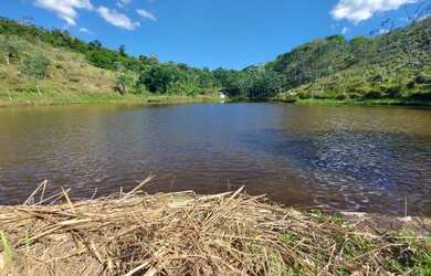Imagem 12: Lote/Terreno para venda possui 600 metros quadrados em Jardim Paineiras...